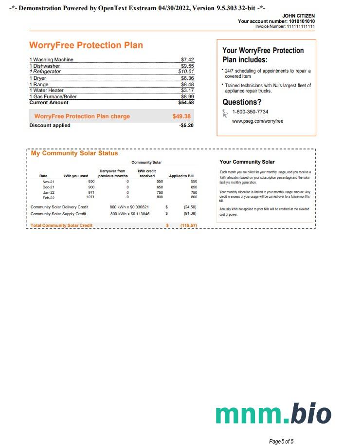 USA New York PSEG rachunek za media, Word i PDF template, 5 strony 5